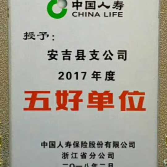 中国人寿