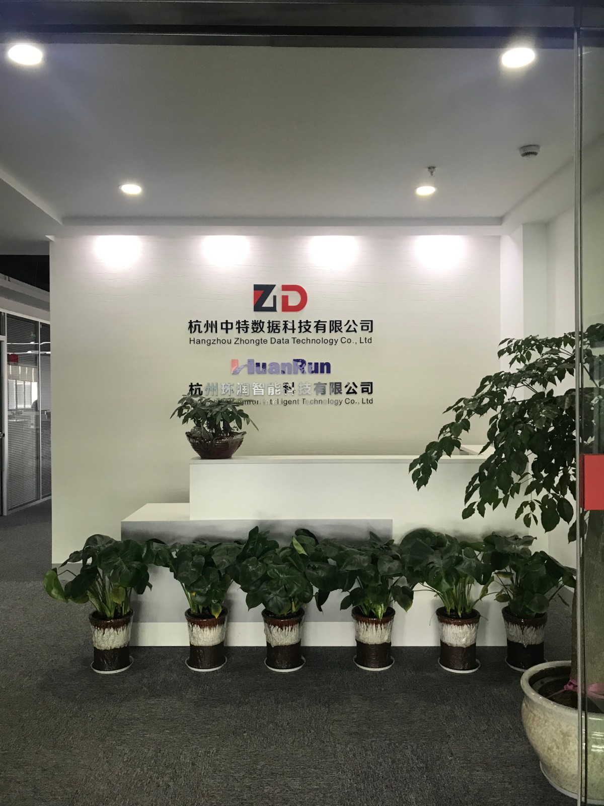 杭州职场